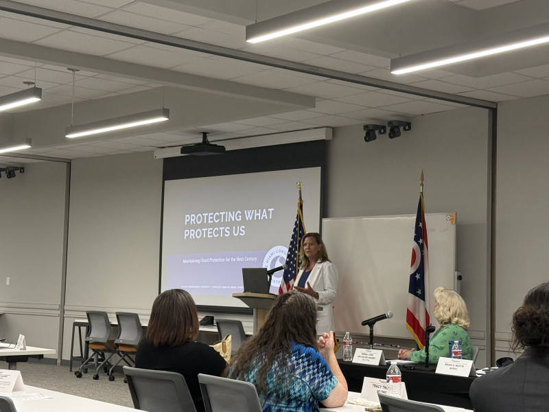 MaryLynn Lodor MCD presenting at Board Meeting 