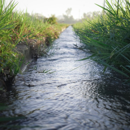 A calm water stream running through lush green grass on a sunny day, showcasing nature's tranquility